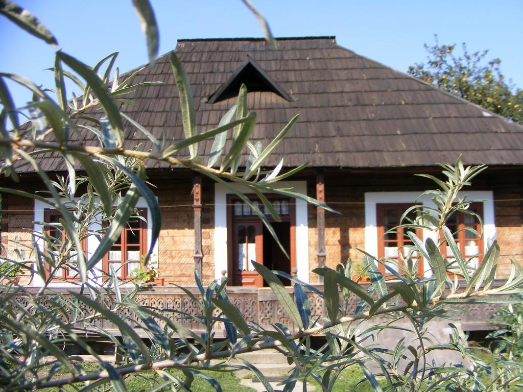 فيلا Casa Bunicii Din Bucovina فاما المظهر الخارجي الصورة